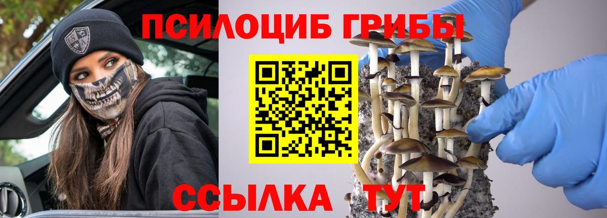 Галлюциногенные грибы Magic Shrooms Сердобск